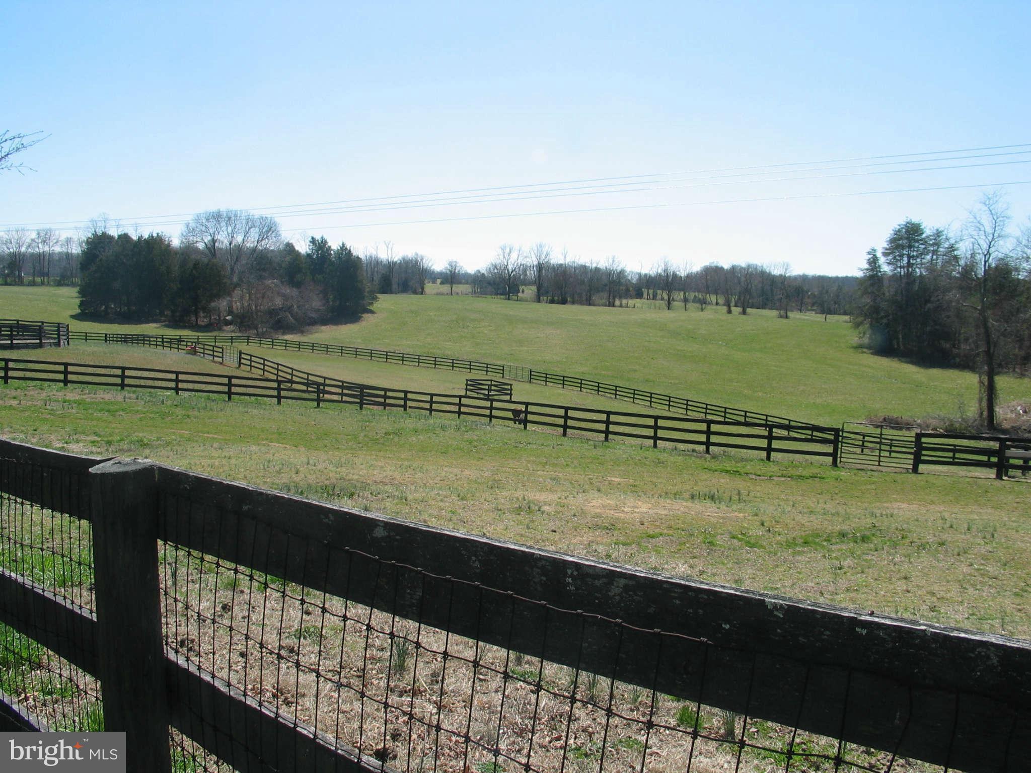 15200 Reva Road Reva, VA 22735 - Photo 10 of 22 Exterior (General)
