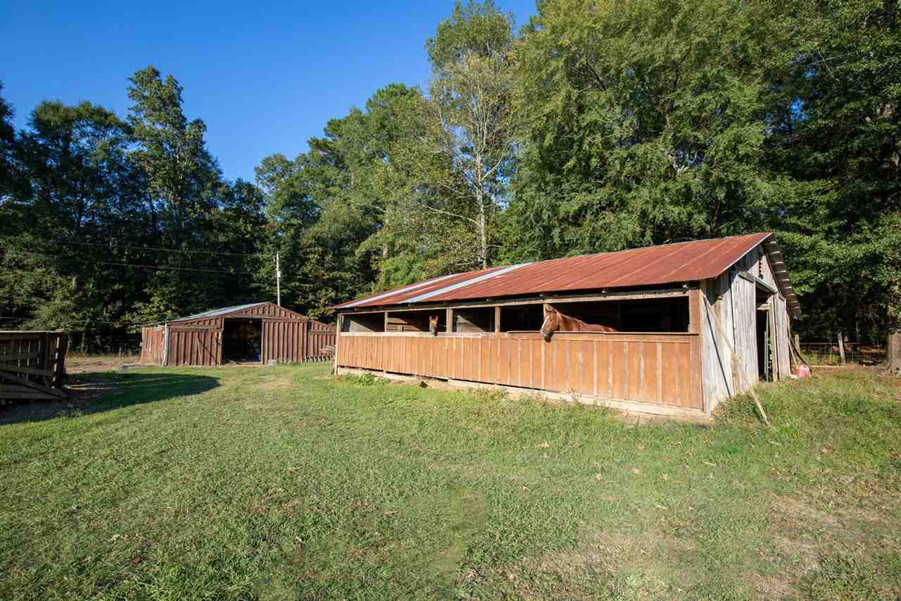1247 Trickham Bridge Road Brandon, MS 39042 - Photo 11 of 40 Photo 11