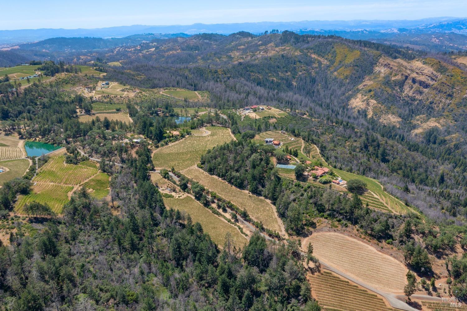 4046 Spring Mountain Road St. Helena, CA 94574 - Photo 6 of 7