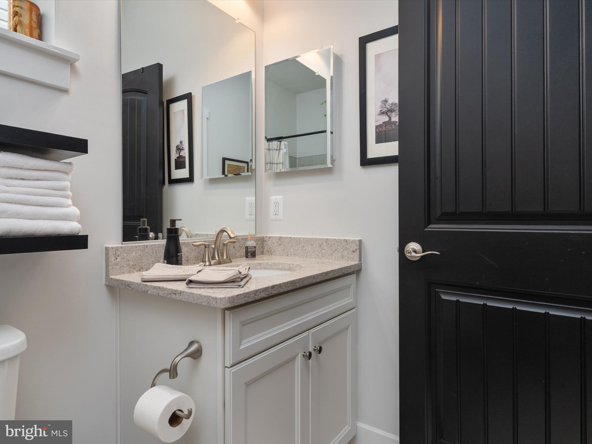 154 Harrier Way Chester, MD 21619 - Photo 9 of 44