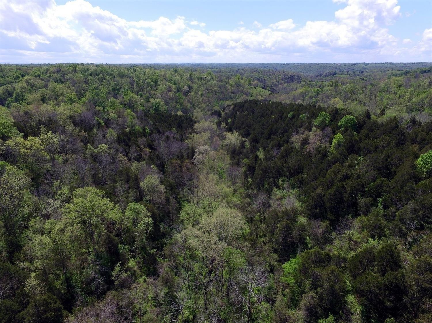 99999 Maple Grove Road Richmond, KY 40475 - Photo 1 of 21 Slip back into your own secluded paradis