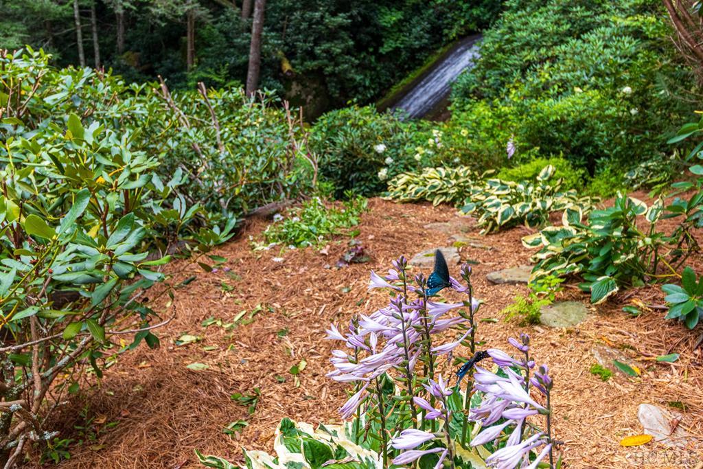 685 Gold Mine Road Highlands, NC 28741 - Photo 59 of 63 Gallery Image 59