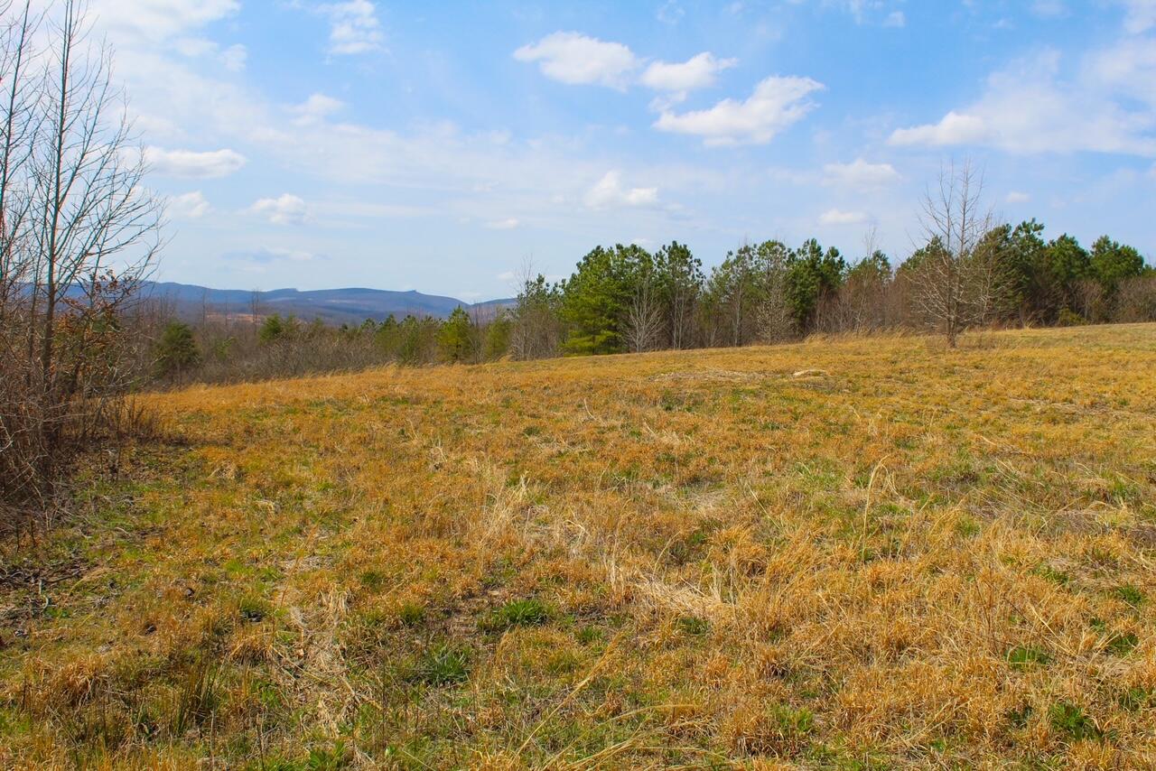 Lot 2 Tower Road Grandview, TN 37337 - Photo 4 of 11 IMG_0102