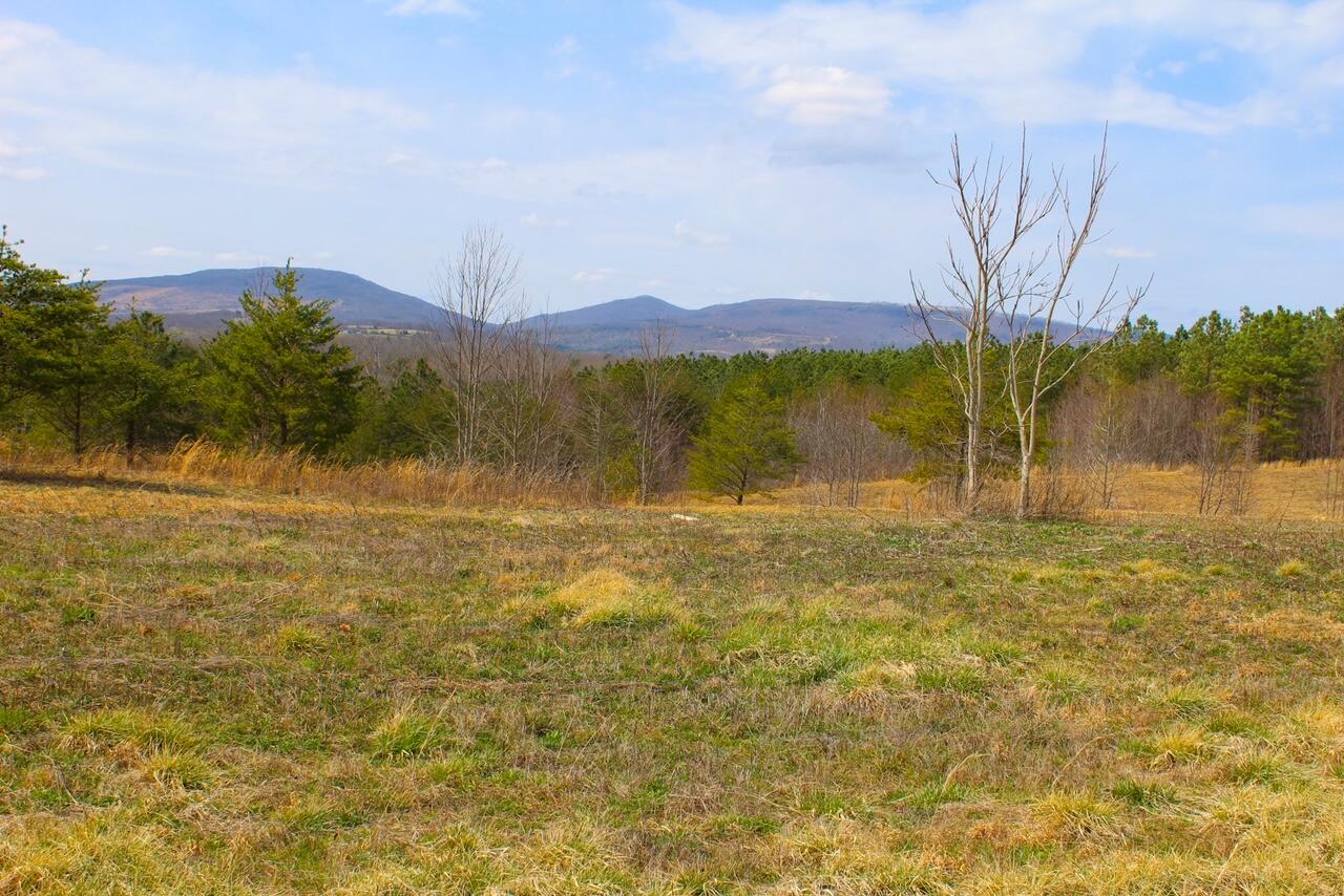 Lot 2 Tower Road Grandview, TN 37337 - Photo 6 of 11 IMG_0110