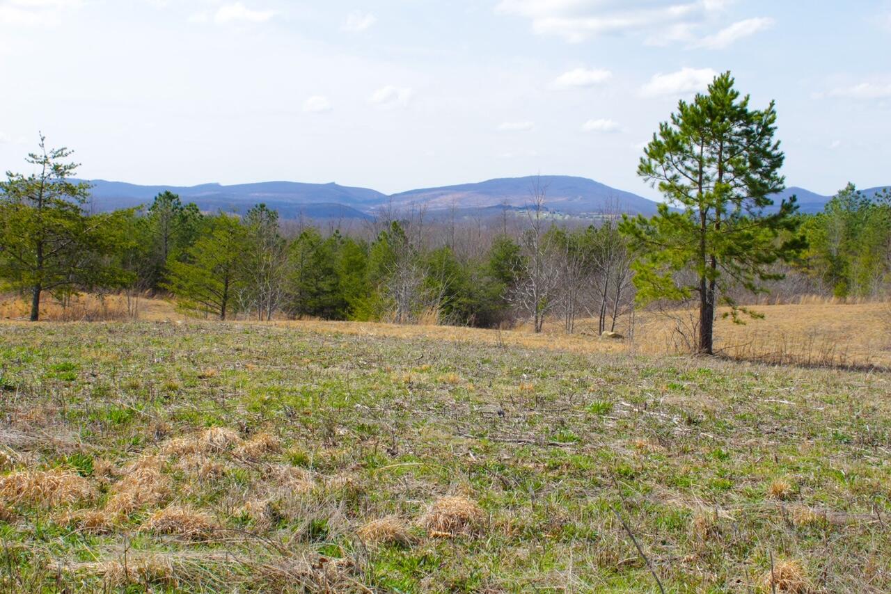 Lot 2 Tower Road Grandview, TN 37337 - Photo 8 of 11 IMG_0155