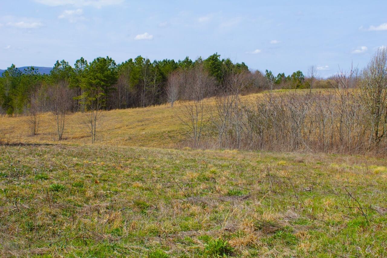 Lot 2 Tower Road Grandview, TN 37337 - Photo 9 of 11 IMG_0157