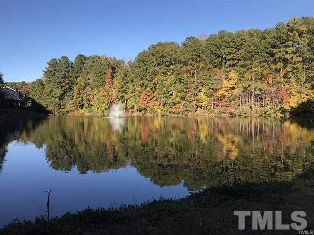 a view of lake
