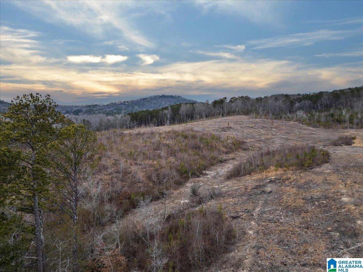 409 Industrial Park Road Oneonta, AL 35121 - Photo 14 of 14