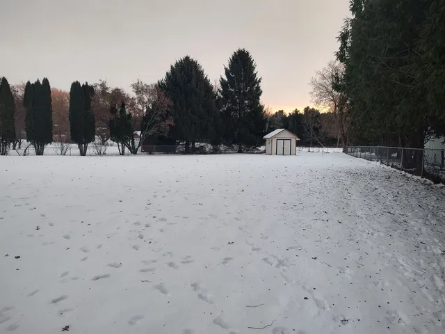 a view of a large space with trees