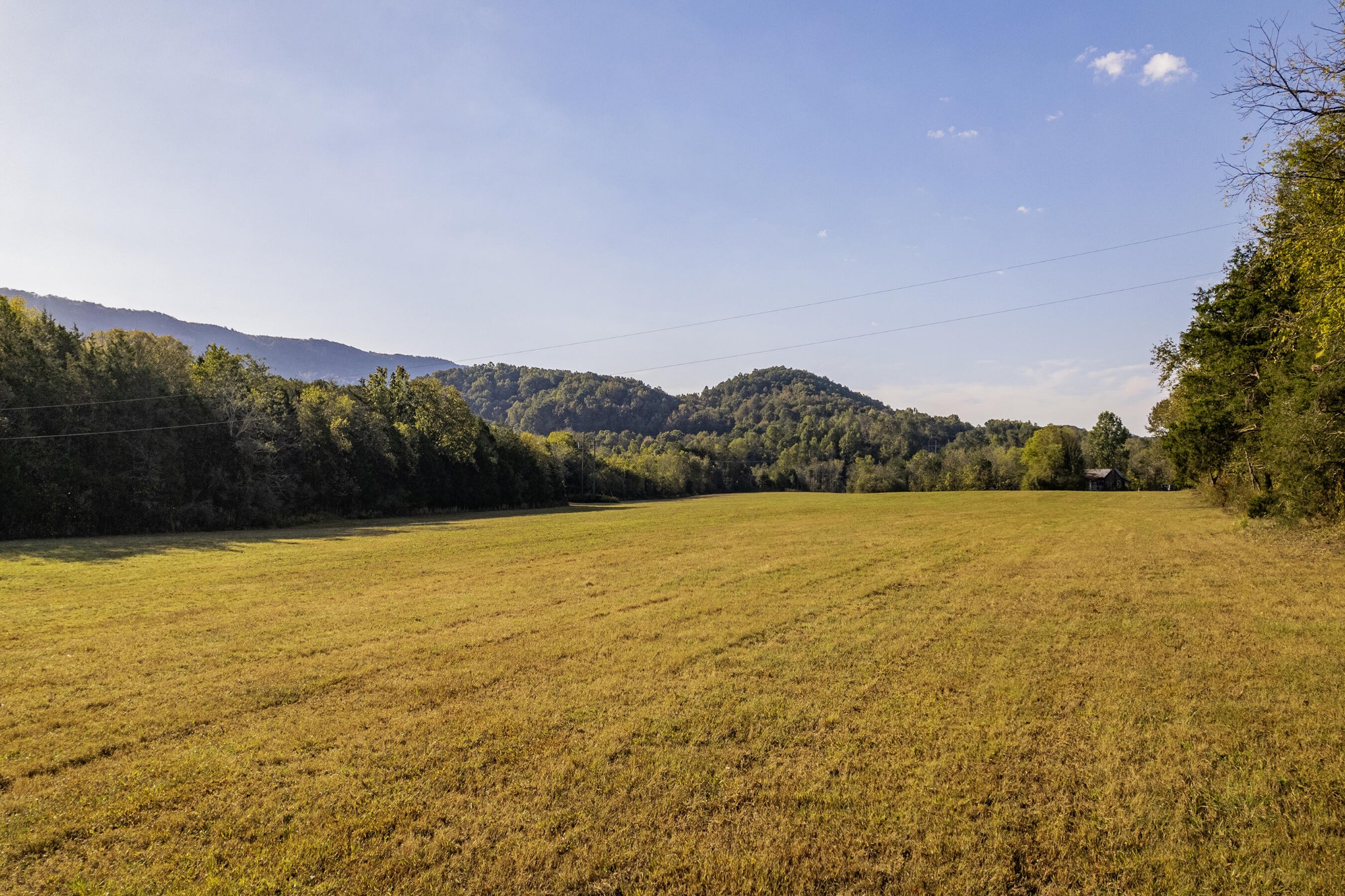 0 Simpson Road Trenton, GA 30752 - Photo 7 of 12