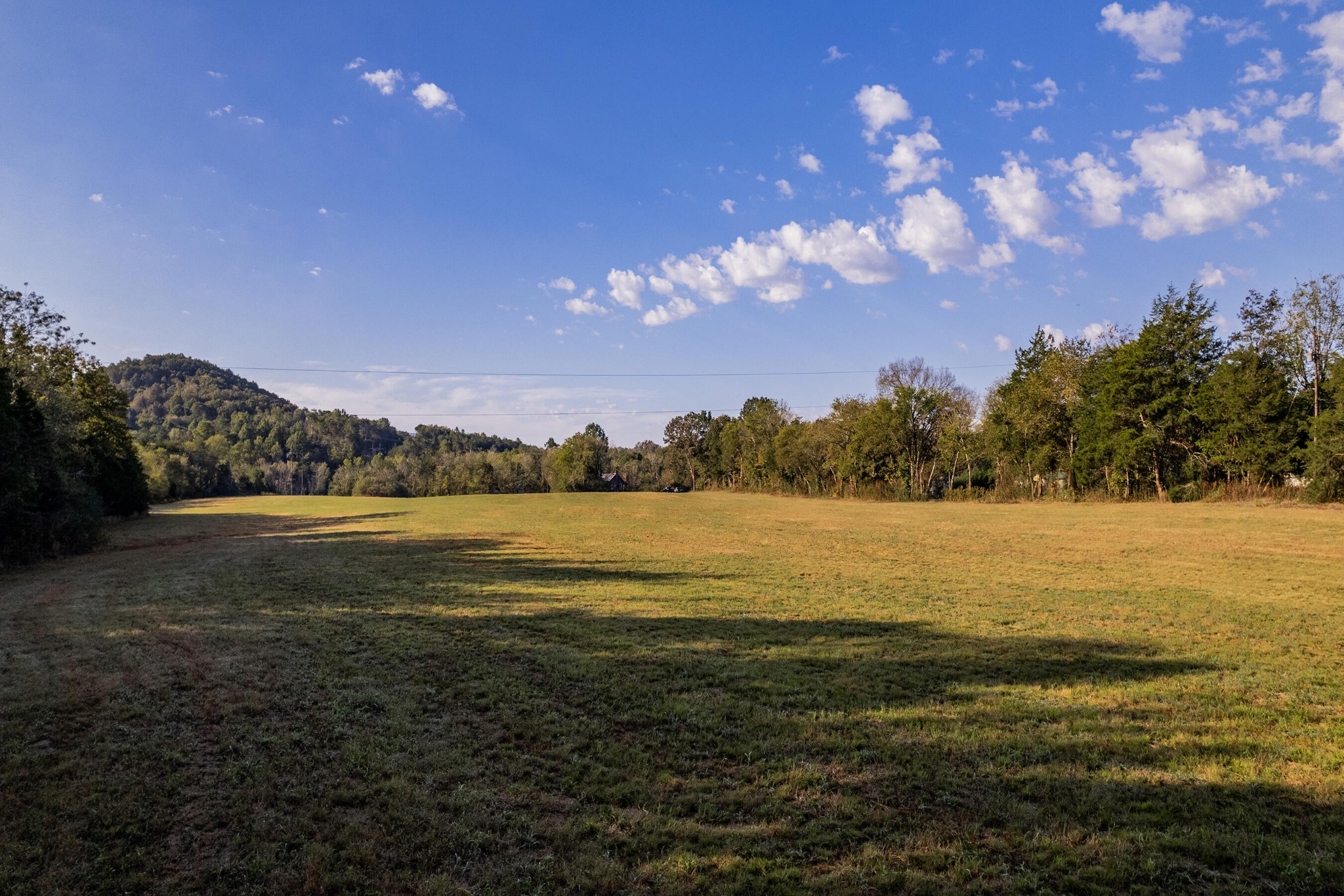 0 Simpson Road Trenton, GA 30752 - Photo 8 of 12