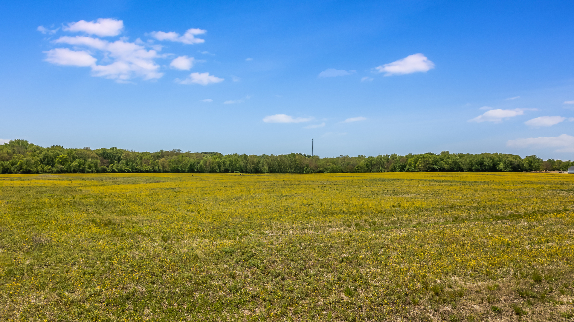 4200 Pine Bluff Road Morris, IL 60450 - Photo 5 of 7 a view of an ocean and beach