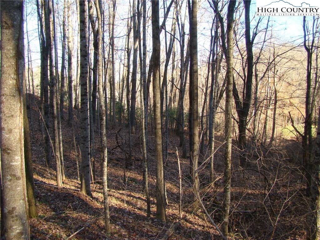 Northridge Drive Boone, NC 28607 - Photo 3 of 5 Gallery Image 3