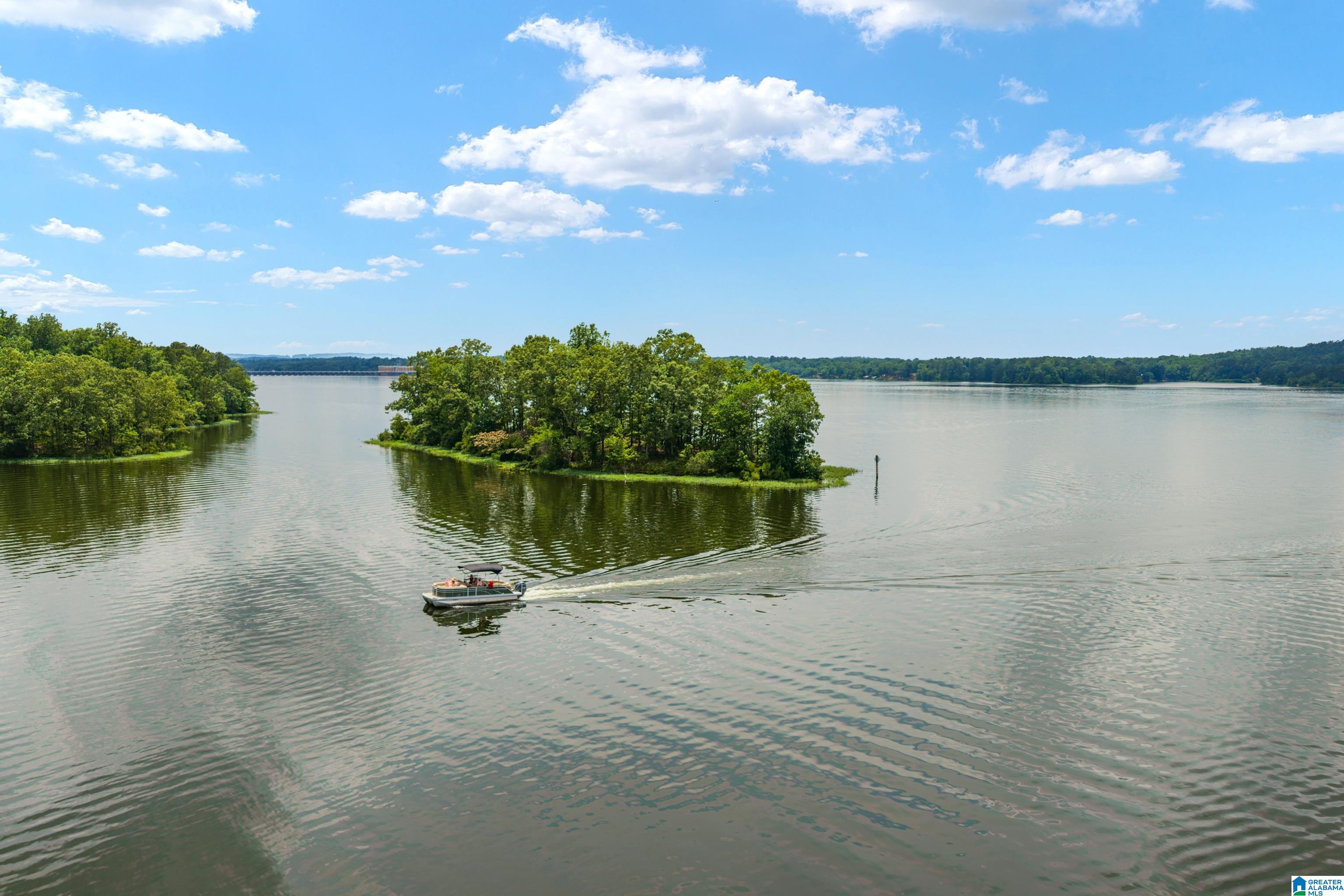 168 Layke Pointe Clanton, AL 35046 - Photo 9 of 64