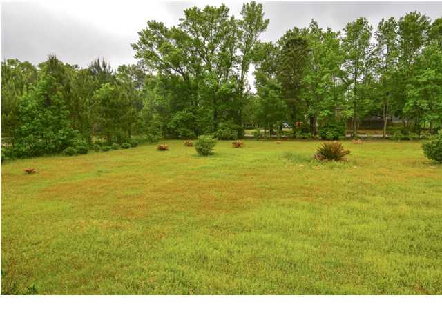 4626 Bears Bluff Road Wadmalaw Island, SC 29487 - Photo 5 of 24 Additional Photo
