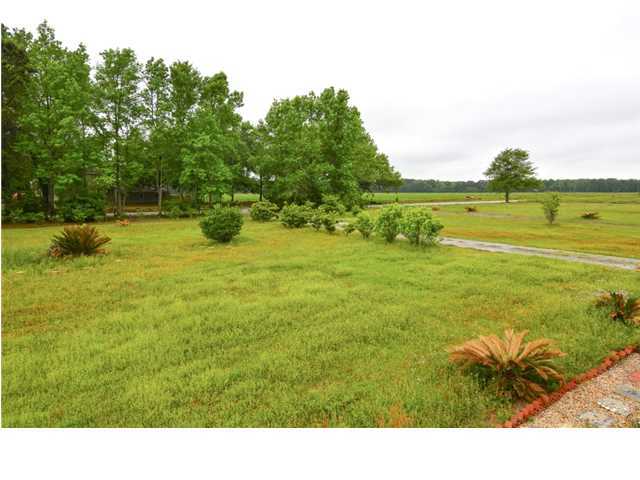 4626 Bears Bluff Road Wadmalaw Island, SC 29487 - Photo 6 of 24 Additional Photo