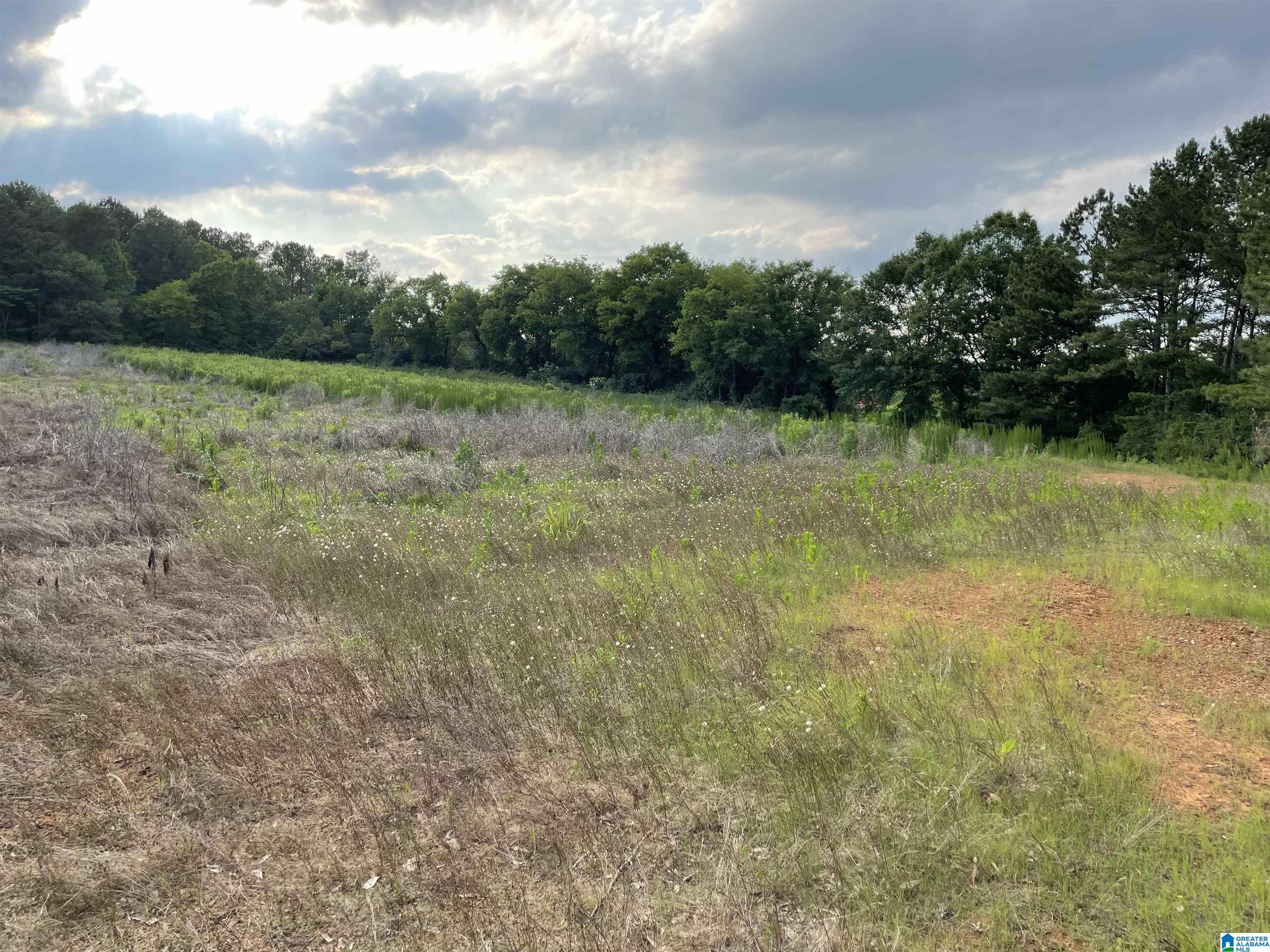 0 Grist Mill Road Childersburg, AL 35044 - Photo 7 of 10