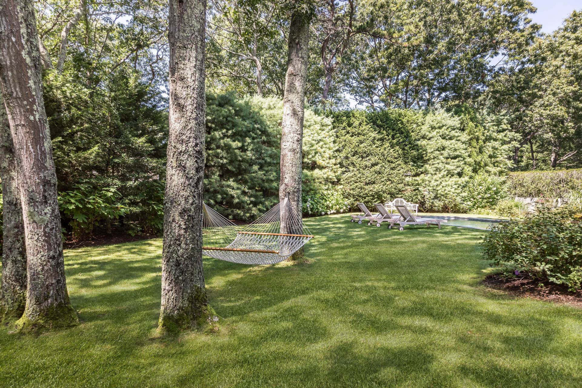 93 Wainscott NW Road Wainscott, NY 11975 - Photo 24 of 24 a view of a trees in a yard