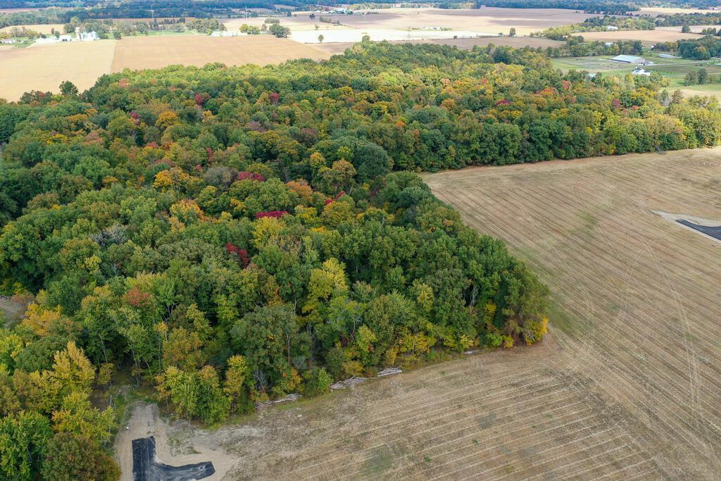 11841 Woodtown Road Galena, OH 43021 - Photo 7 of 10 DJI_0112