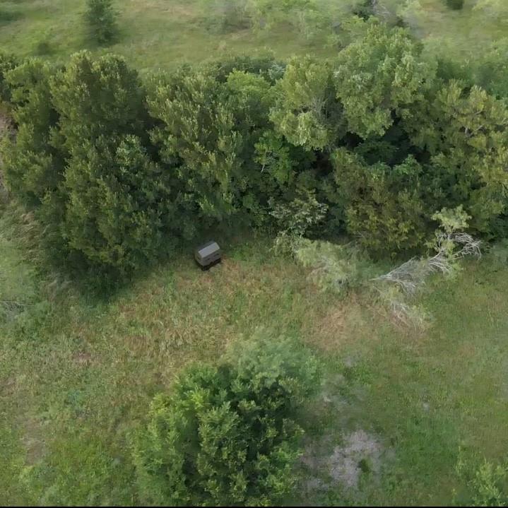 Tbd Southwest Tbd Sw 2250th Road Dawson, TX 76639 - Photo 13 of 21 a view of a forest