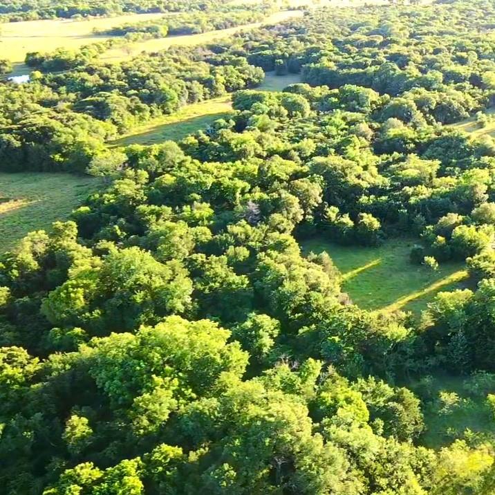Tbd Southwest Tbd Sw 2250th Road Dawson, TX 76639 - Photo 14 of 21 a view of a garden with an ocean