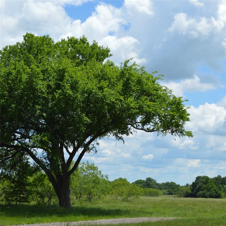 Tbd Southwest Tbd Sw 2250th Road Dawson, TX 76639 - Photo 18 of 21 a view of a city with lush green forest