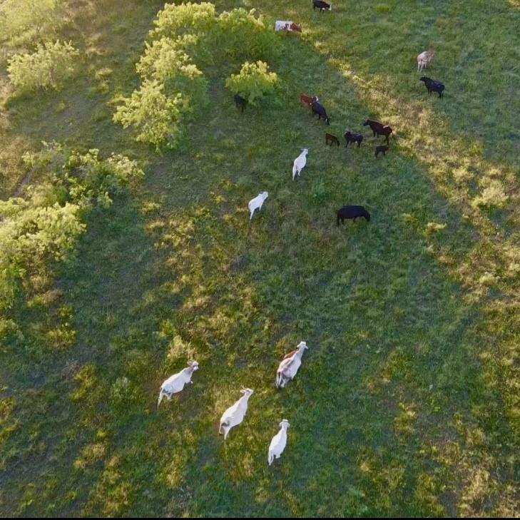 Tbd Southwest Tbd Sw 2250th Road Dawson, TX 76639 - Photo 3 of 21 a view of a tree with an outdoor space
