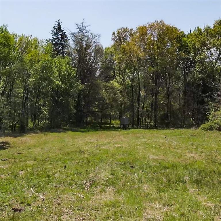 Tbd Southwest Tbd Sw 2250th Road Dawson, TX 76639 - Photo 4 of 21 a view of a yard with a trees