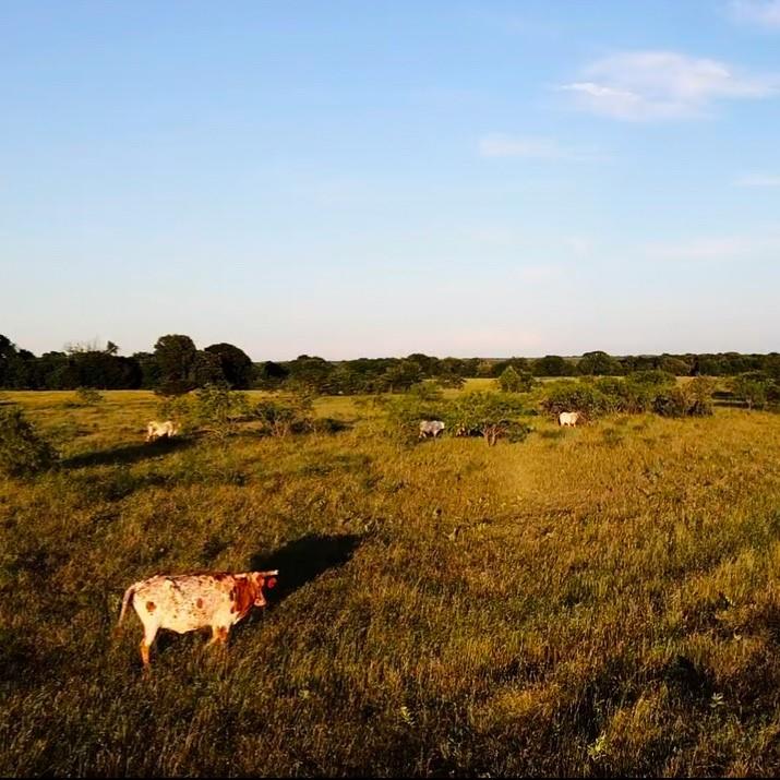 Tbd Southwest Tbd Sw 2250th Road Dawson, TX 76639 - Photo 5 of 21 a view of lake