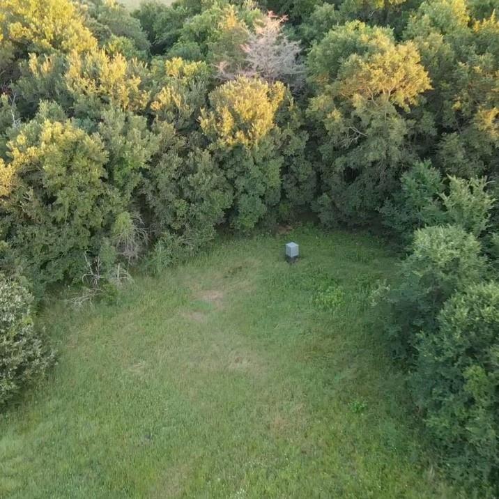 Tbd Southwest Tbd Sw 2250th Road Dawson, TX 76639 - Photo 6 of 21 a view of a trees from a yard
