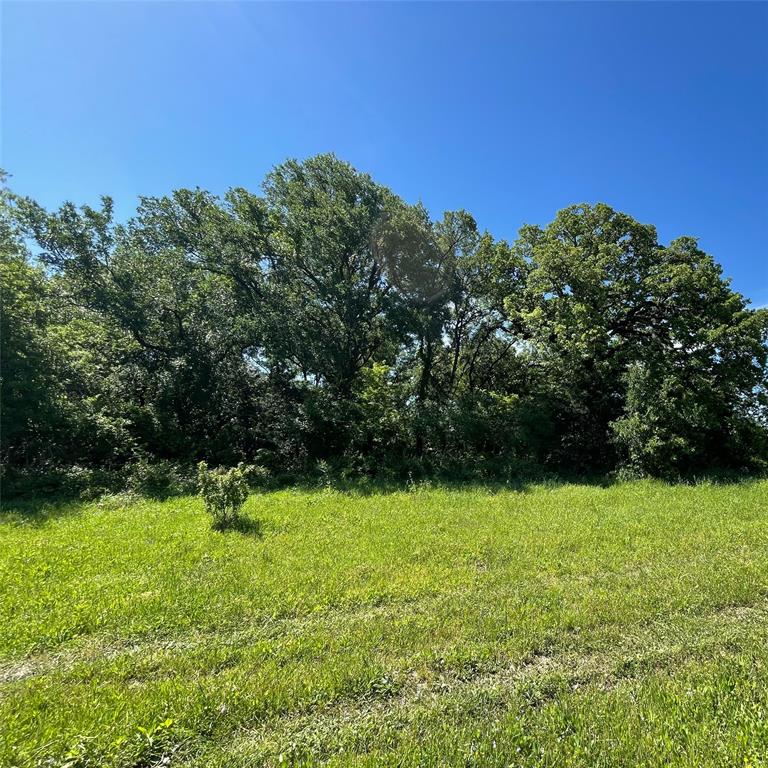 Tbd Southwest Tbd Sw 2250th Road Dawson, TX 76639 - Photo 8 of 21 a view of garden with trees