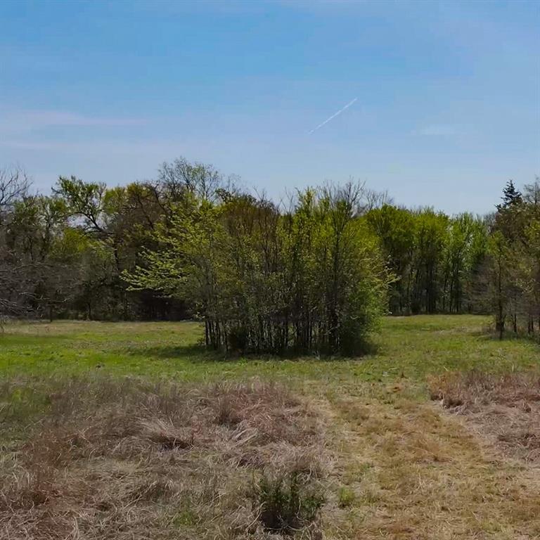 Tbd Southwest Tbd Sw 2250th Road Dawson, TX 76639 - Photo 9 of 21 a view of a field with trees in the background