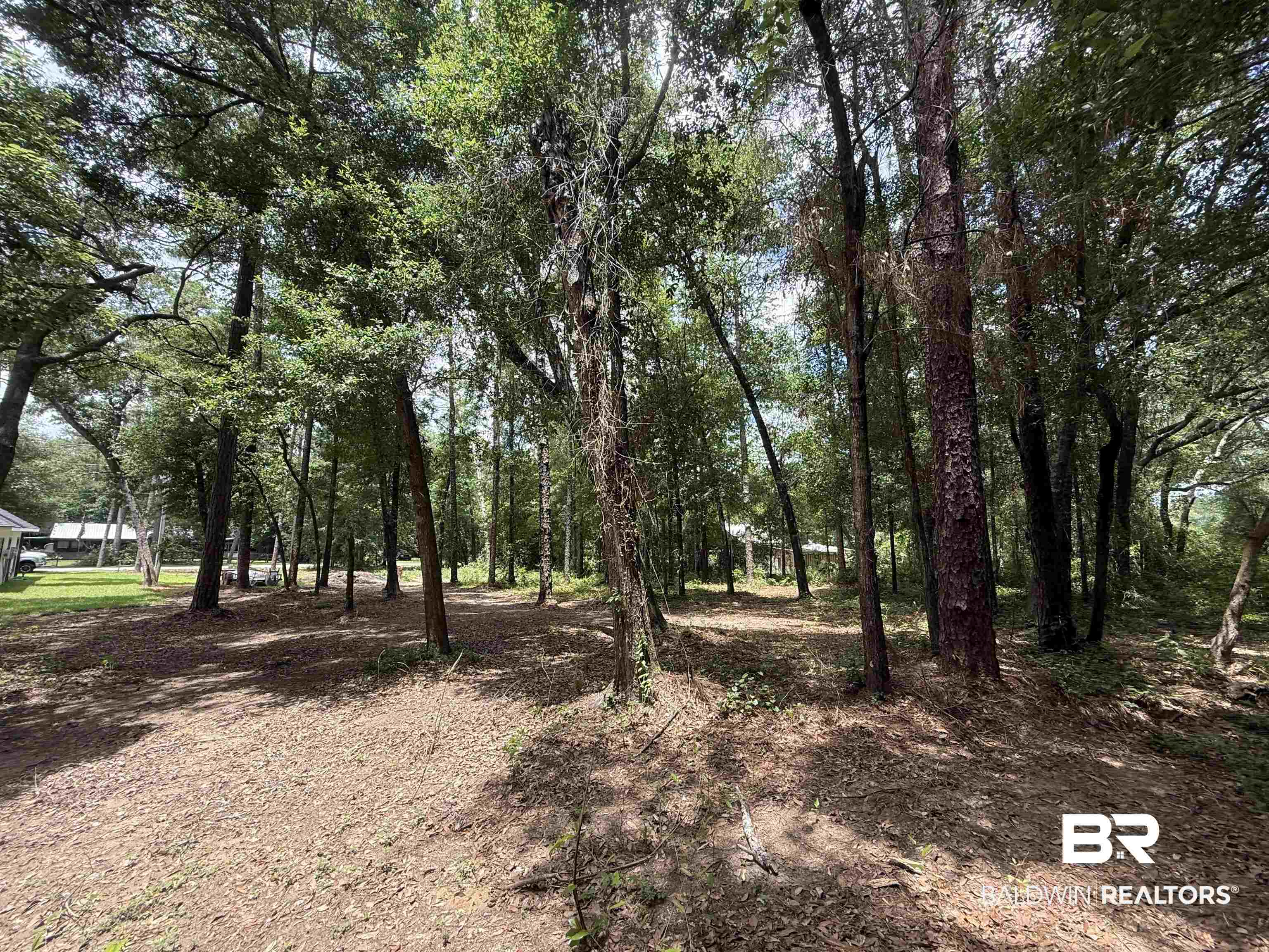 0 Jackson Lane Foley, AL 36535 - Photo 2 of 6 Gallery Image 2