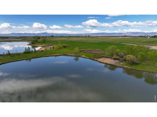 a black and white photo of a lake