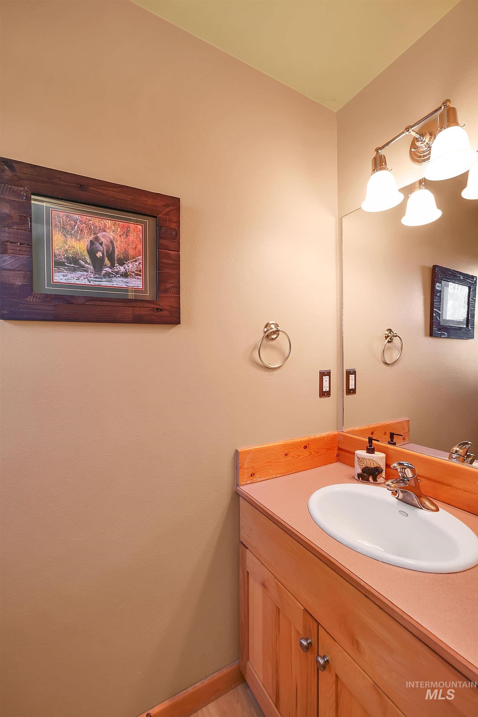 296 Norheim Lane McCall, ID 83638 - Photo 32 of 48