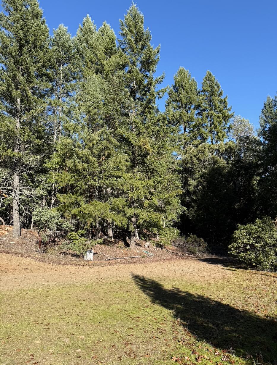 579 Hennessey View Burnt Ranch, CA 95527 - Photo 14 of 54