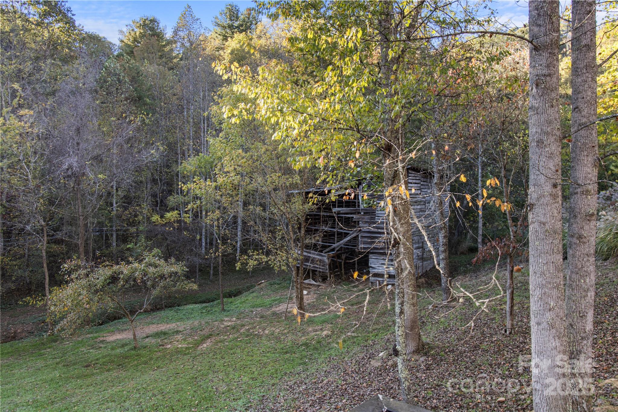 1159 Bone Camp Road Marshall, NC 28753 - Photo 32 of 39