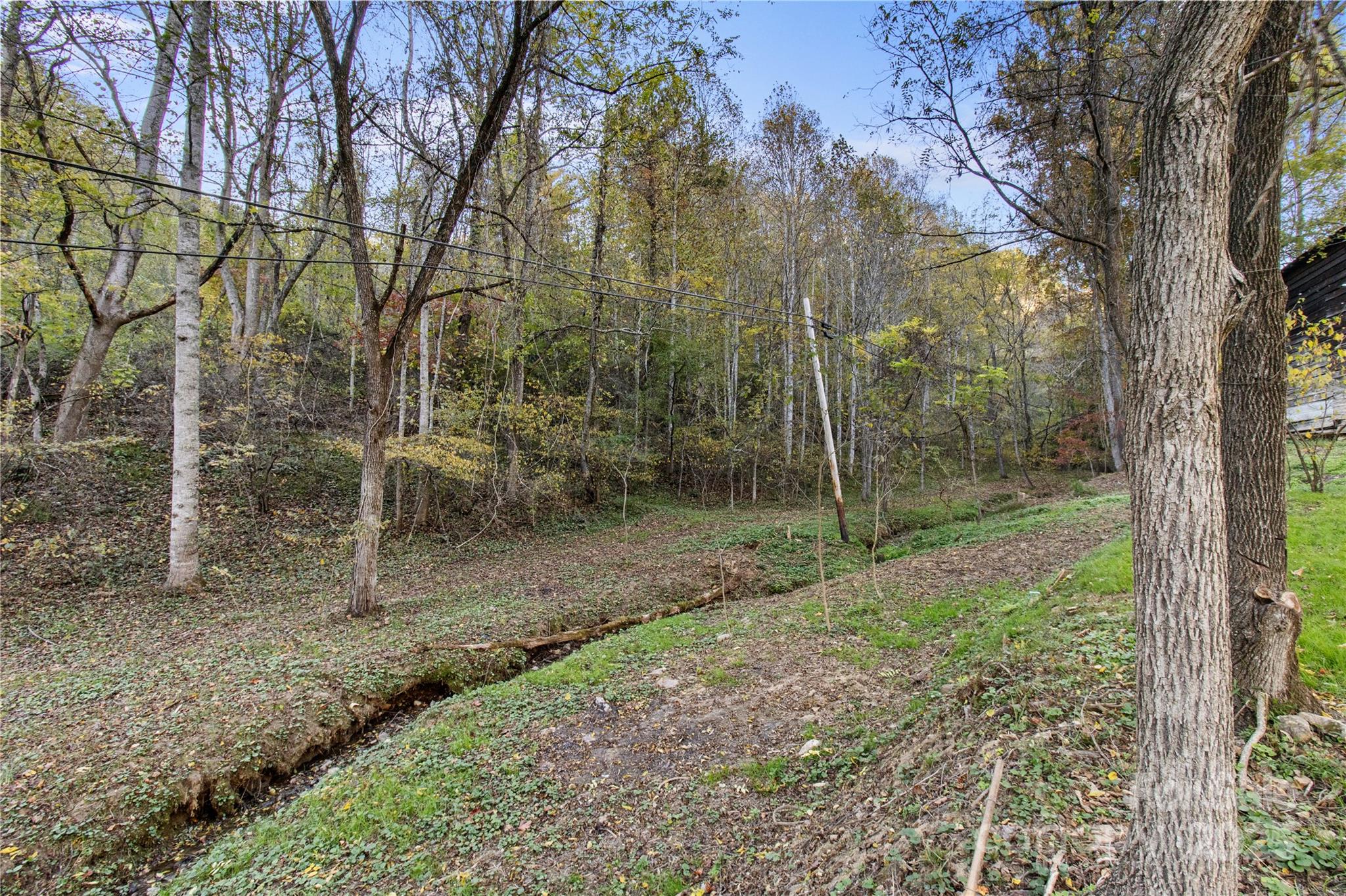 1159 Bone Camp Road Marshall, NC 28753 - Photo 37 of 39