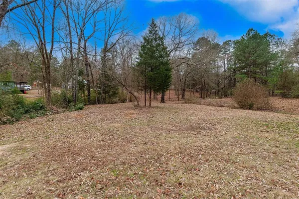 a view of backyard with large trees
