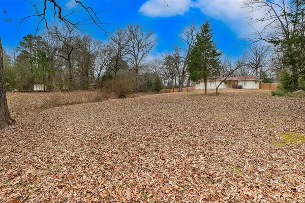 a view of a yard with trees