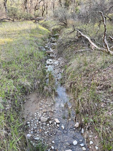 160 Ac Road Oak Run, CA 96069 - Photo 39 of 39 Seasonal Creek