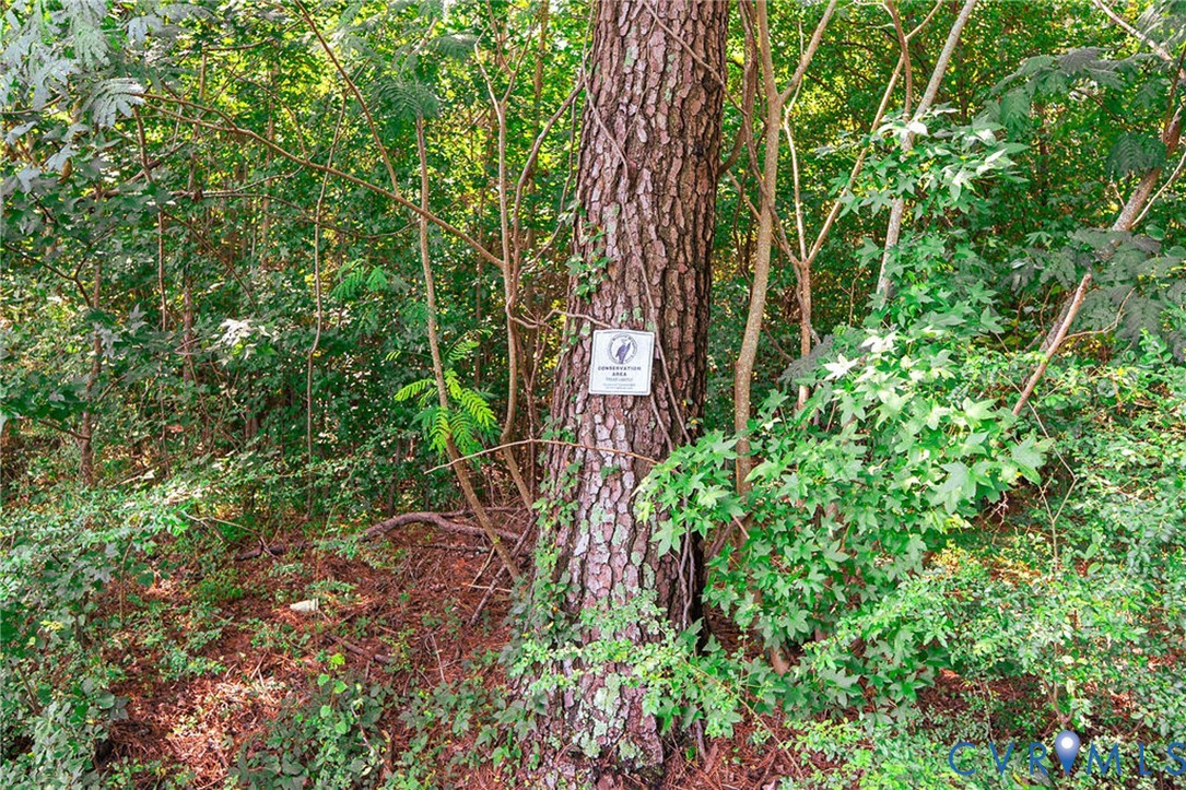 663.8-acres Peach Road Chesapeake, VA 23321 - Photo 21 of 46 Gallery Image 21