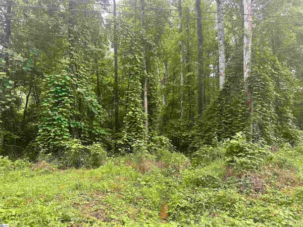 $49,900 | 0 Dacusville Road, Marietta, SC 29661