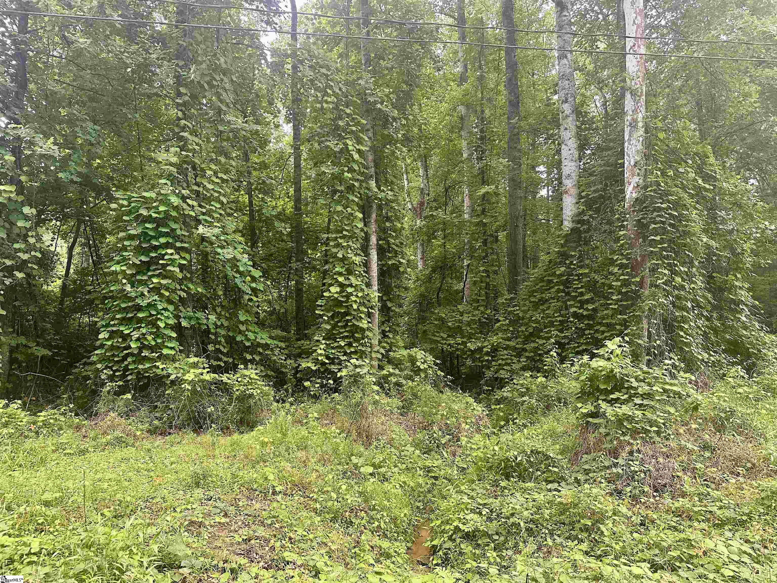 0 Dacusville Road Marietta, SC 29661 - Photo 1 of 5