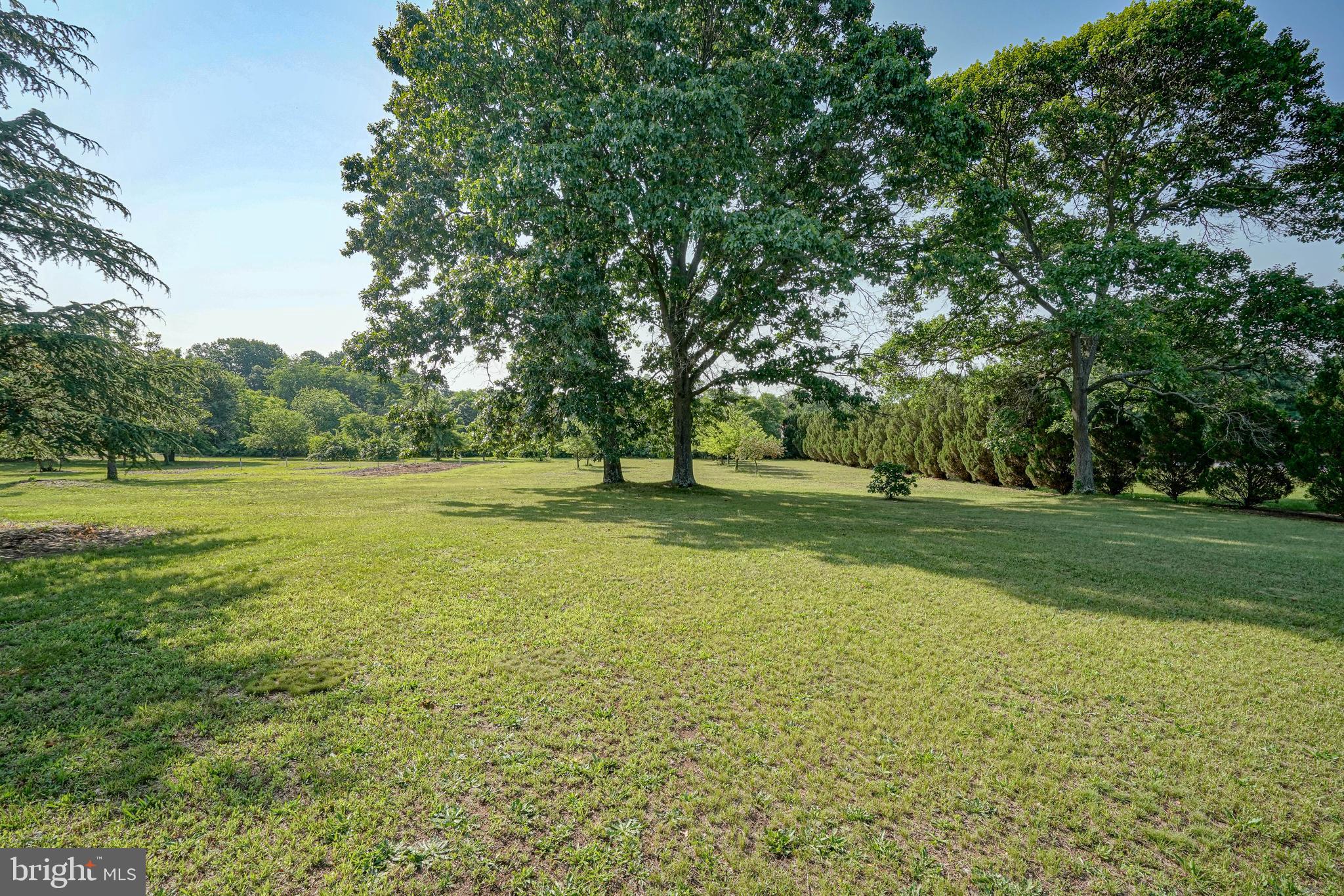 664 Union Road Mickleton, NJ 08056 - Photo 7 of 40 a view of a green field with wooden fence