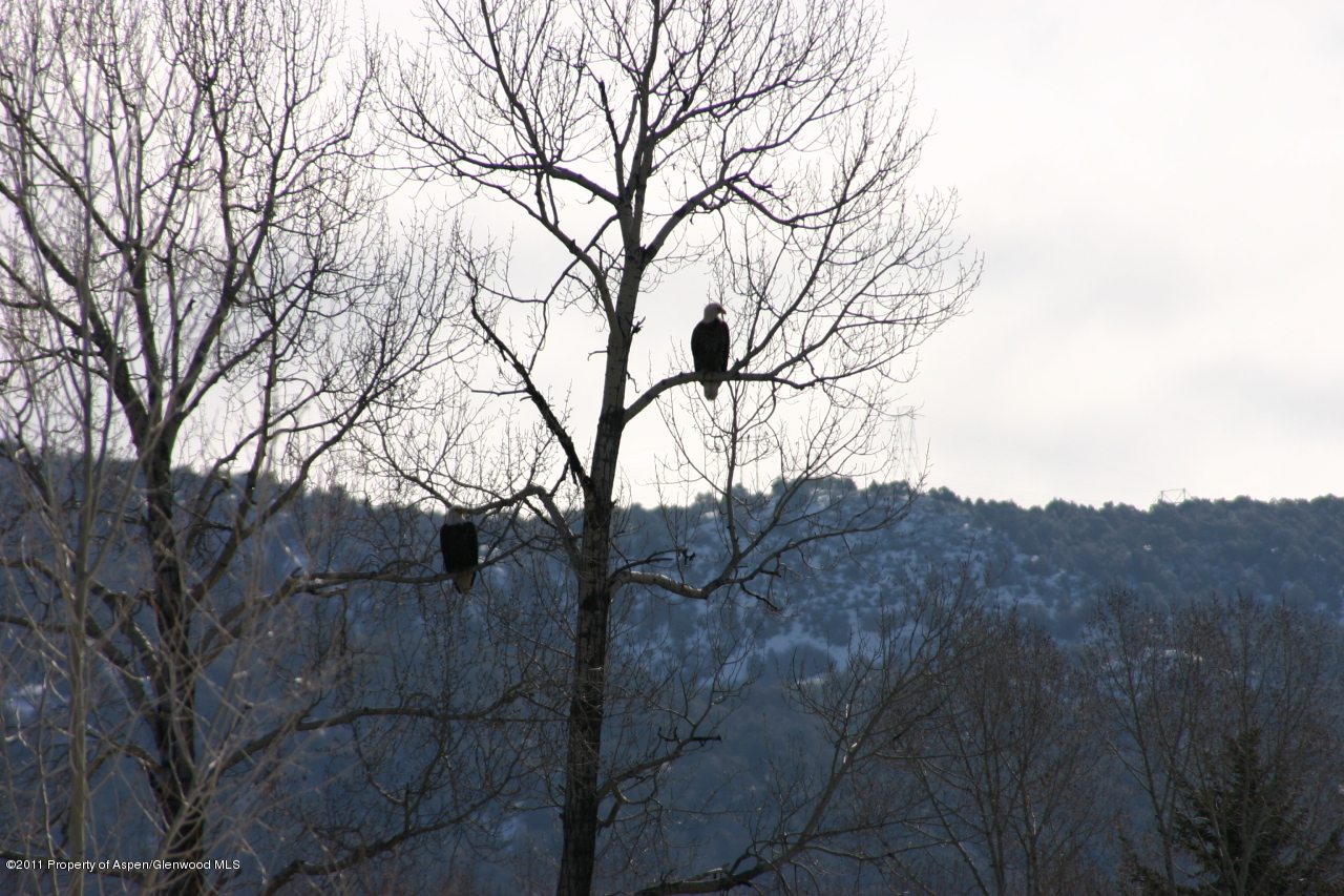 1207 Hooks Spur Road Basalt, CO 81621 - Photo 20 of 23 Eagles shot from living room porch