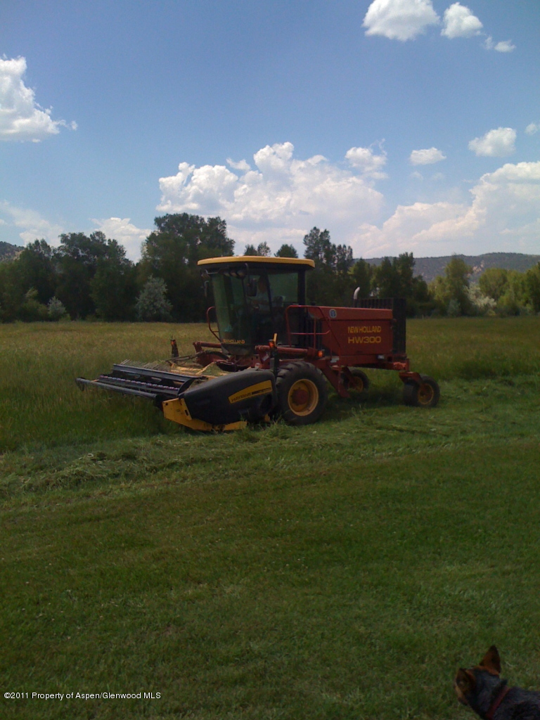 1207 Hooks Spur Road Basalt, CO 81621 - Photo 21 of 23 Producing Hay fields