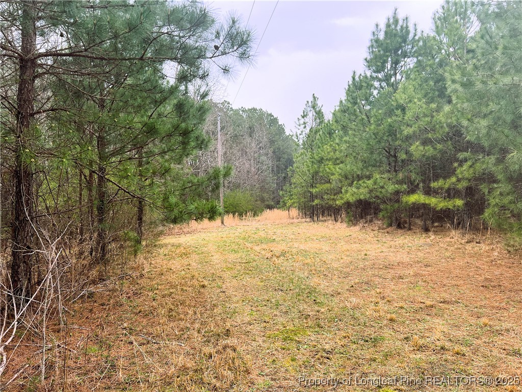 Johnsonville School Road Cameron, NC 28326 - Photo 11 of 19 Int View - Power Pole