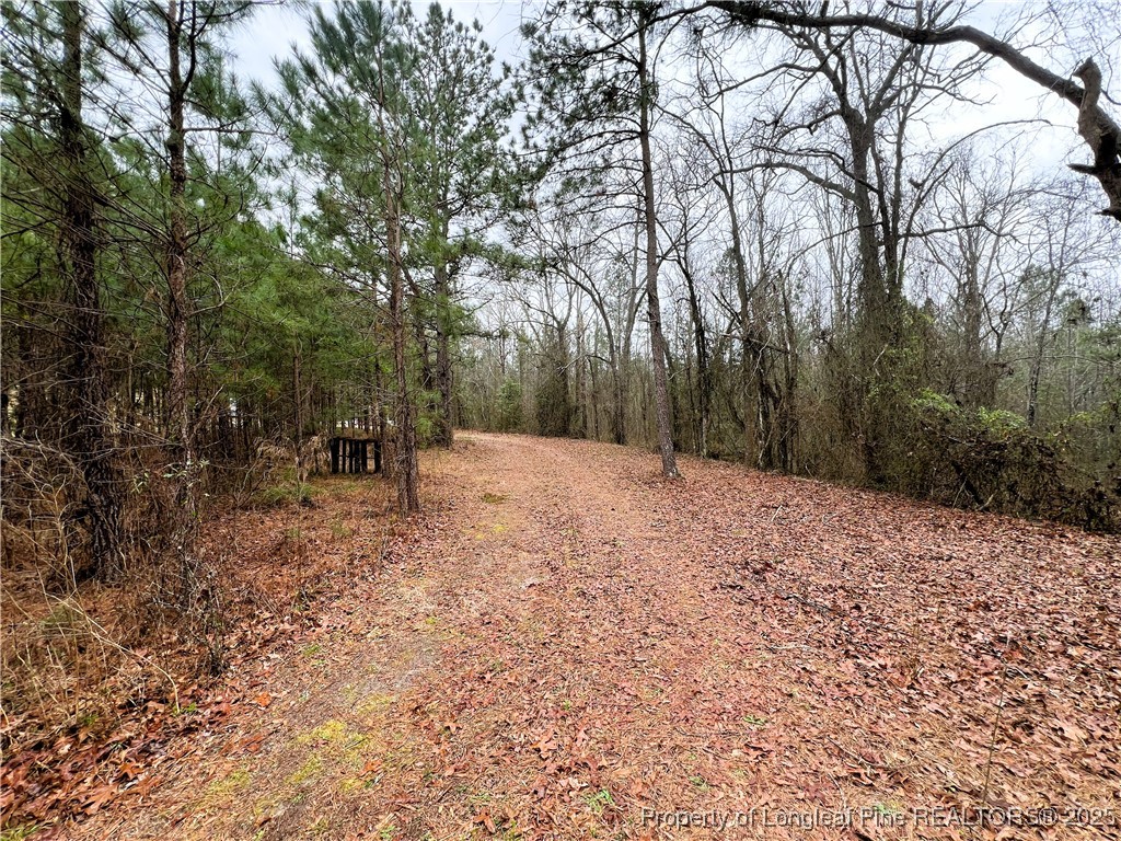 Johnsonville School Road Cameron, NC 28326 - Photo 15 of 19 Old Trails / Path