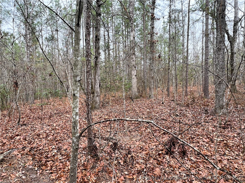 Johnsonville School Road Cameron, NC 28326 - Photo 16 of 19 Add'l View